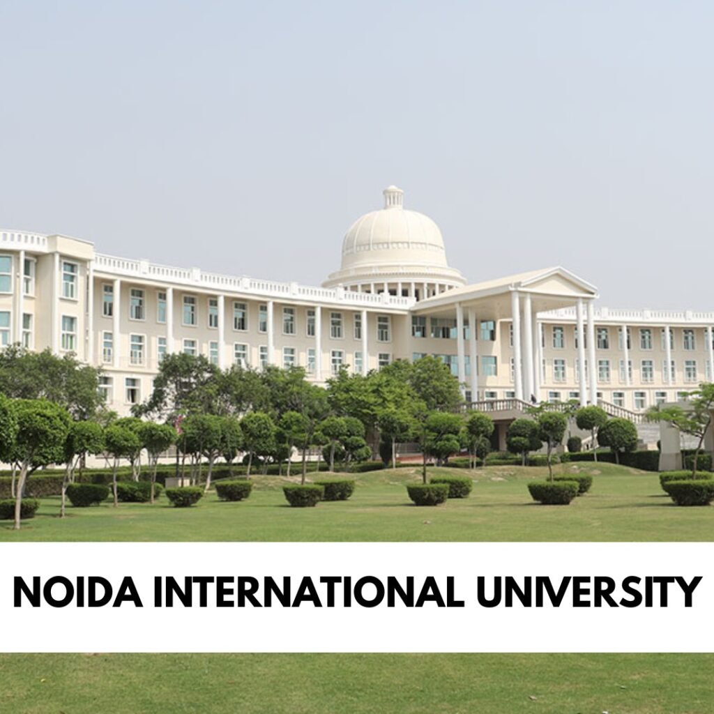 Noida International University